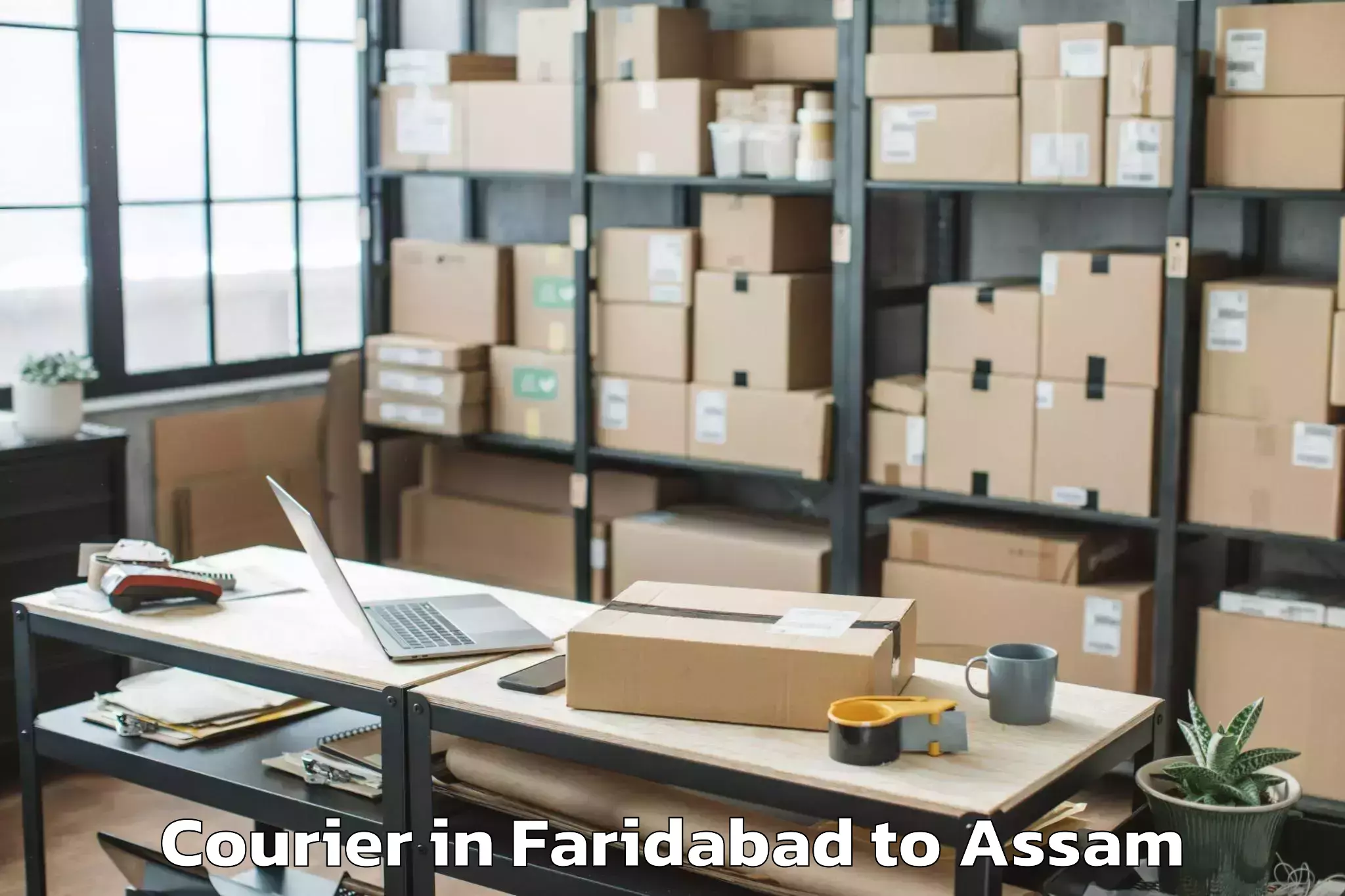 Top Faridabad to Kalain Courier Available